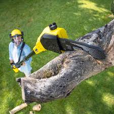 Best Soil Testing and Treatment  in White Center, WA